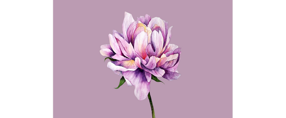 showcase-image