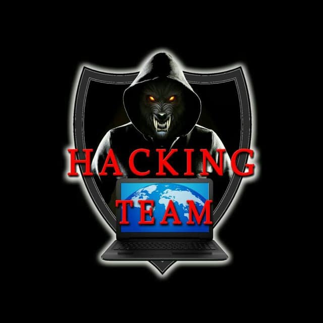 hackingteam2 academia